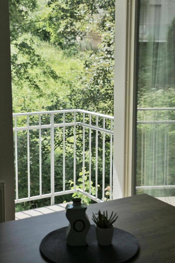 Apartments Moravska 24 Karlovy Vary Kültér fotó