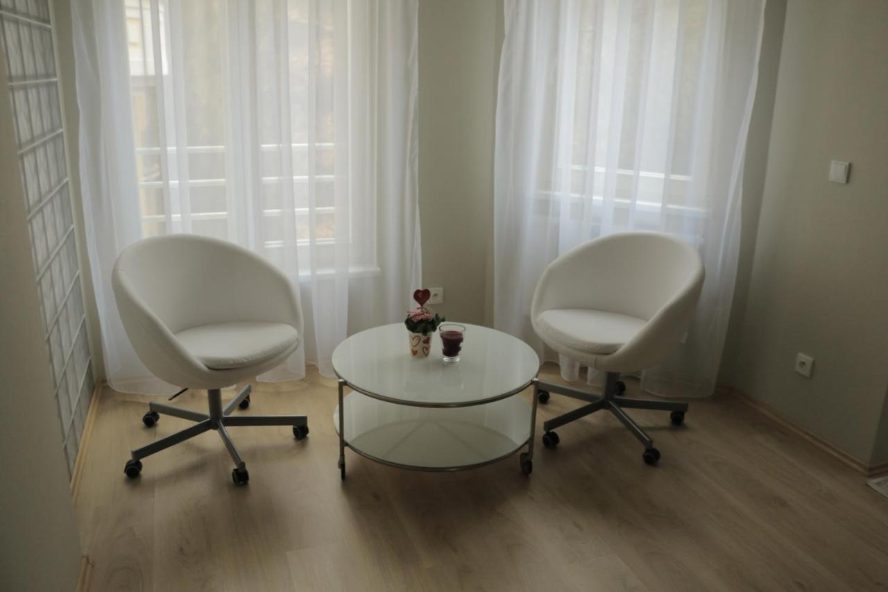 Apartments Moravska 24 Karlovy Vary Kültér fotó